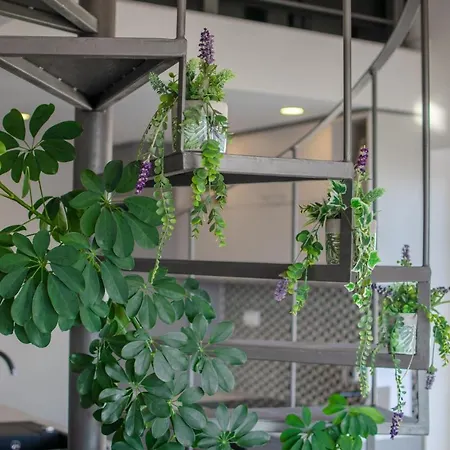 Brani Apartamento